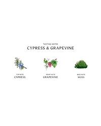 Cypress & Grapevine Body & Hand Wash 8.5 oz.