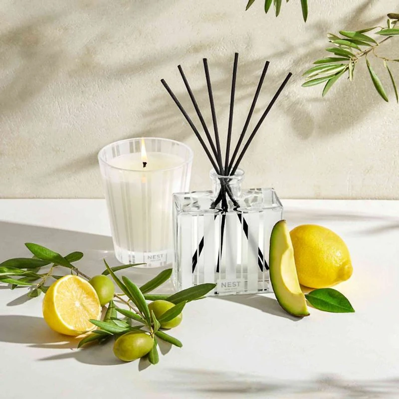 Santorini Olive & Citron Candle Collection