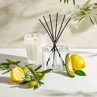 Santorini Olive & Citron Candle Collection
