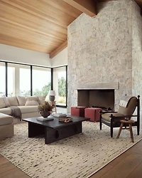 Briyana BRI-01 Area Rug, 2' x 3'