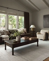 Zuma ZUM-01 Area Rug, 2'3" x 3'10"