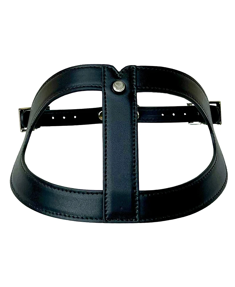 Shaya Pets Black Leather Adjustable Dog Harness