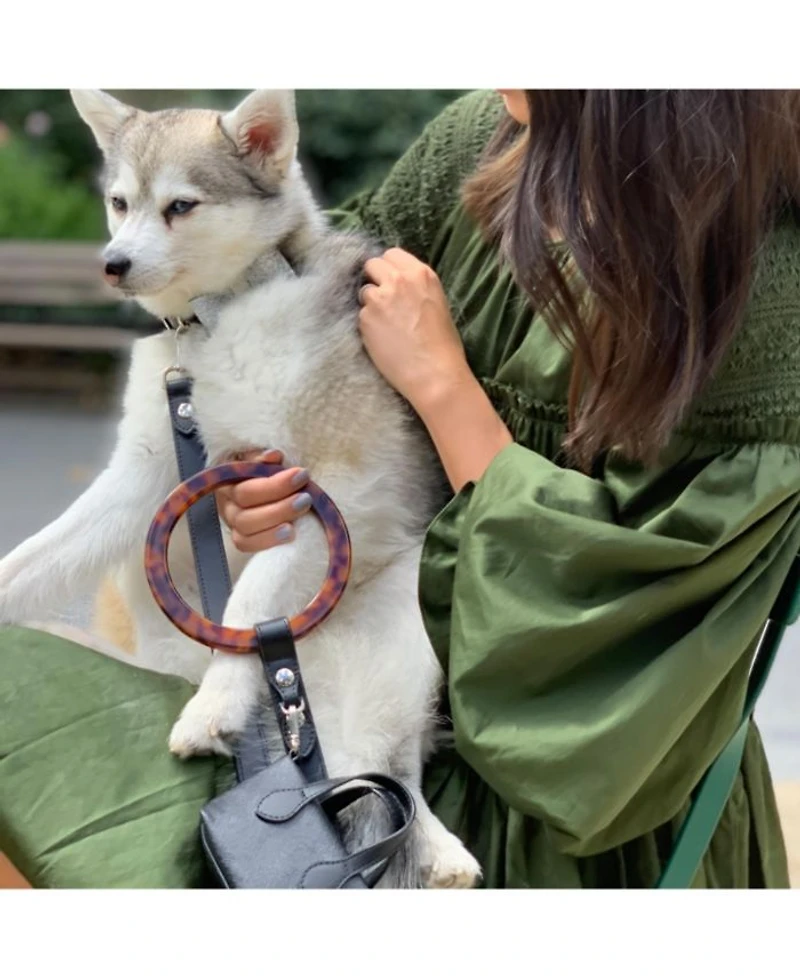 Short Susan Leather Dog Leash with Acrylic Handle