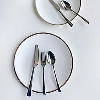 Platinum Edge Salad/Dessert Plate, Set of 2