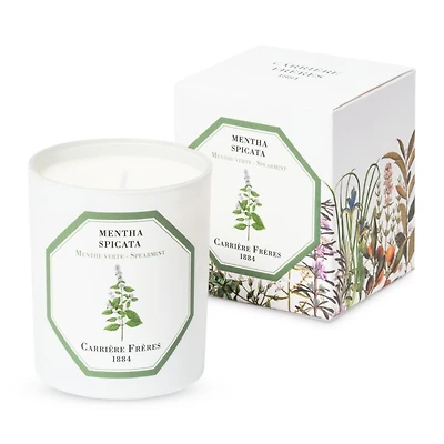 Spearmint Scented Candle, 6.5 oz.