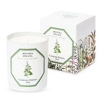 Spearmint Scented Candle, 6.5 oz.