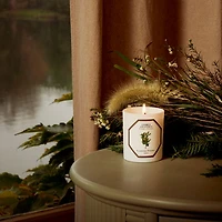 Cedar Scented Candle, 6.5 oz.