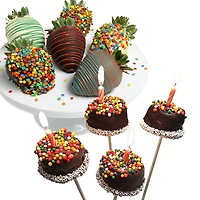Chocolate Covered Company Premium Belgian Chocolate Covered Celebration Strawberries & Brownie Bites, 10 Piece