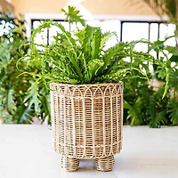 Provence Rattan Round Planter