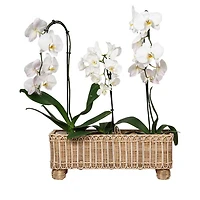Provence Rattan Rectangular Planter