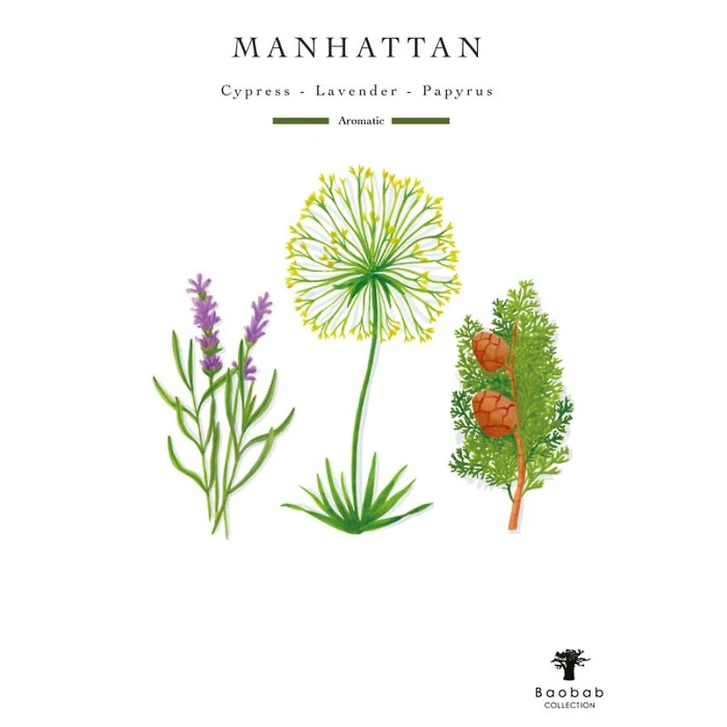 My First Baobab Manhattan Candle, 6.7 oz.