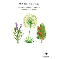 My First Baobab Manhattan Candle, 6.7 oz.
