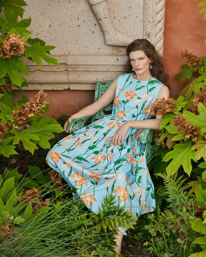 Printed Cotton A Line Dress