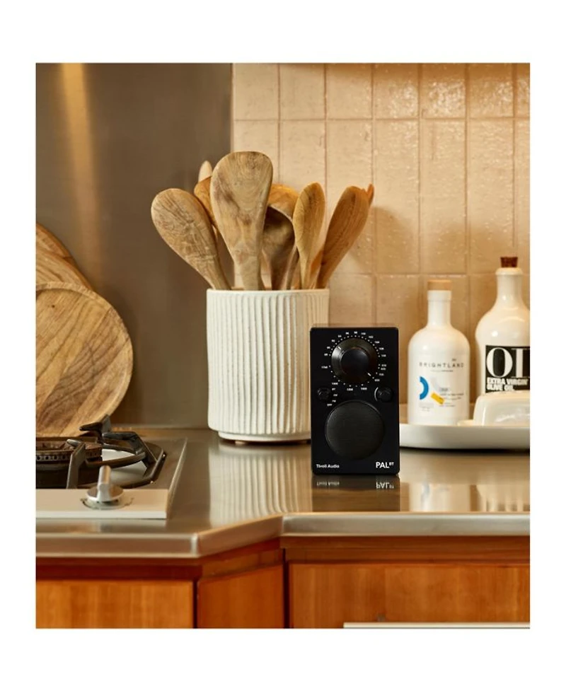 PAL BT Bluetooth AM/FM Portable Radio & Speaker