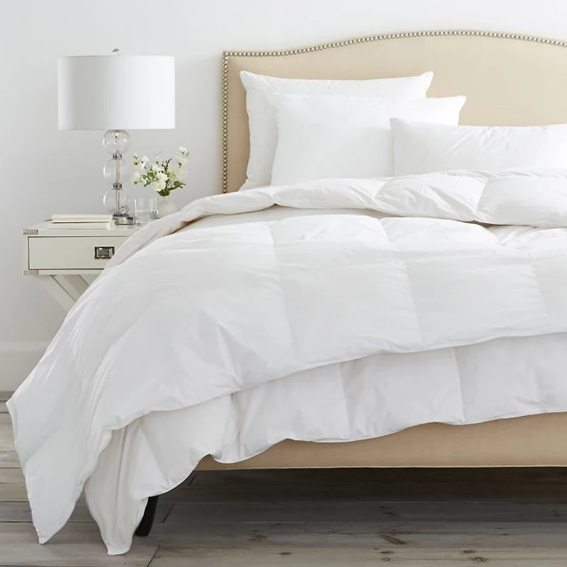 Down Duvet Insert