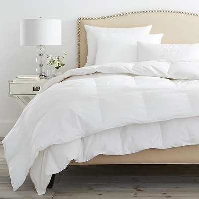 Down Duvet Insert