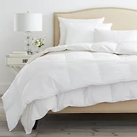 Down Duvet Insert