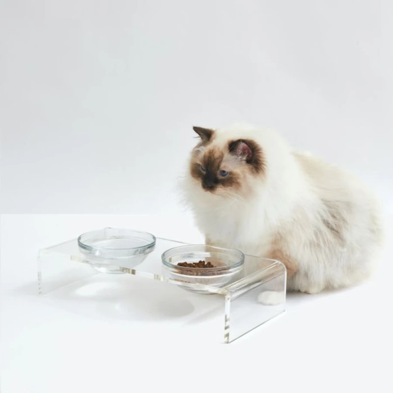 Small Clear Double Glass Bowl Pet Feeder
