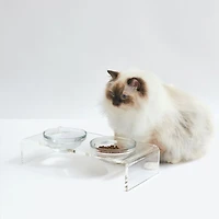 Small Clear Double Glass Bowl Pet Feeder