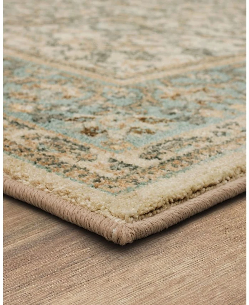 Karastan Euphoria Monaghan Area Rug, 8' x 11'