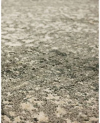 Karastan Euphoria Ayr Area Rug, 9'6" x 12'11"
