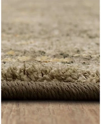 Karastan Euphoria Galway Area Rug, 8' x 11'