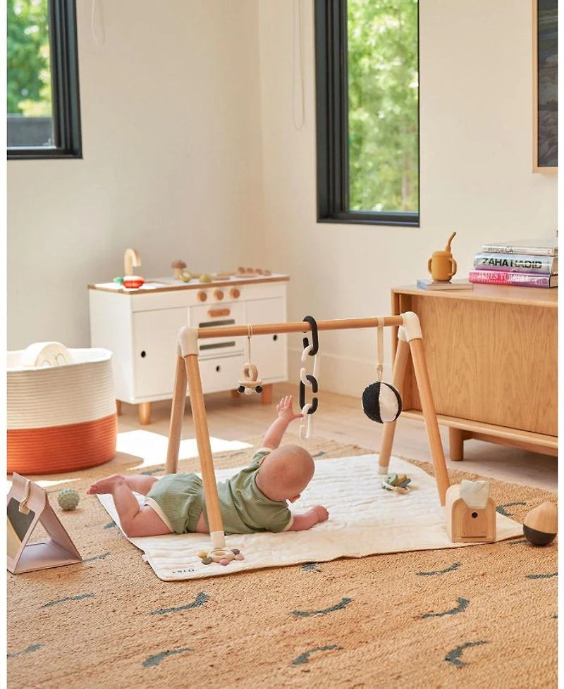 The Play Gym - Age 0-24 Months