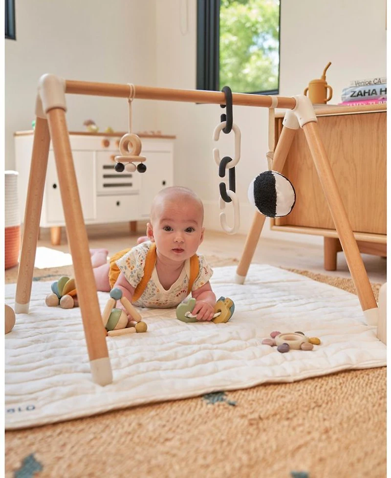 The Play Gym - Age 0-24 Months