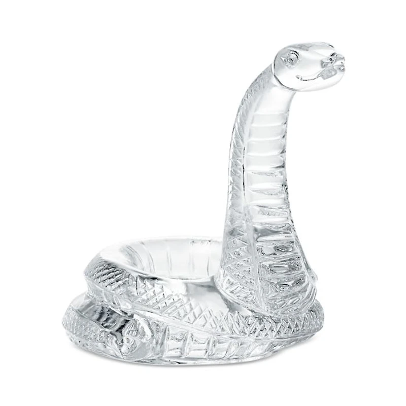 2025 Zodiac Snake, Clear