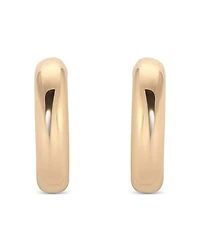 Small Thick Classic Hoop Earrings