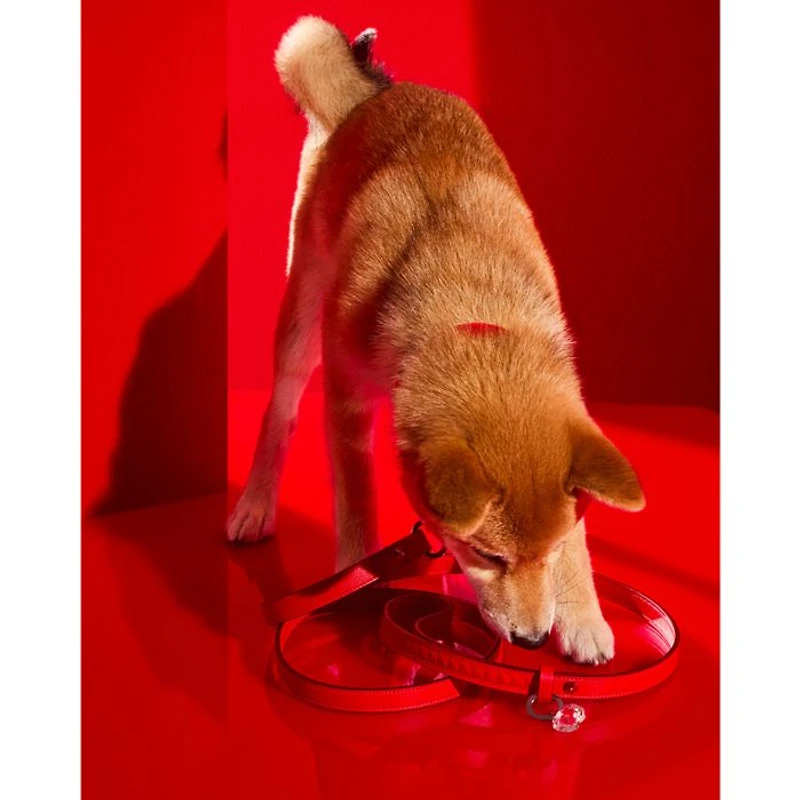 Louxar Red Allure Pet Leash