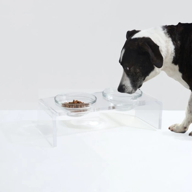 Small Clear Double Glass Bowl Pet Feeder, 1 Quart Bowls