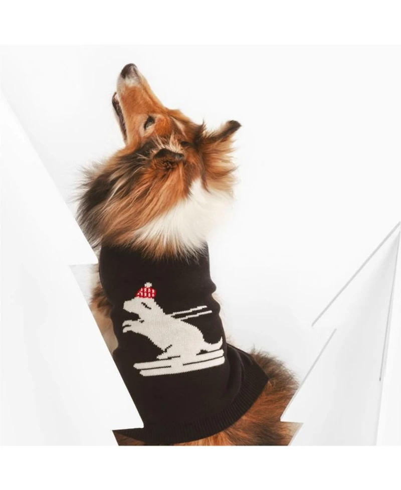 Skiing Dog Pet Sweater