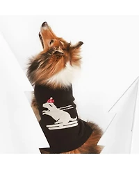 Skiing Dog Pet Sweater