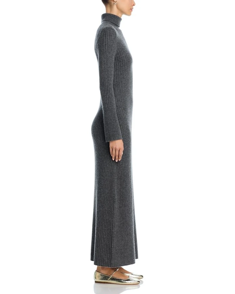 Turtleneck Maxi Sweater Dress