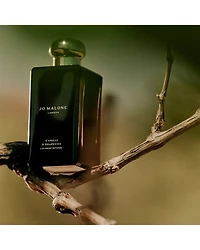 Woody Cologne Intense Trio ($84 value)