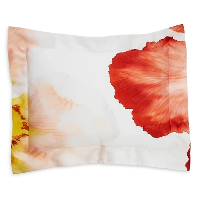 Schlossberg Aurora Blanc Sham