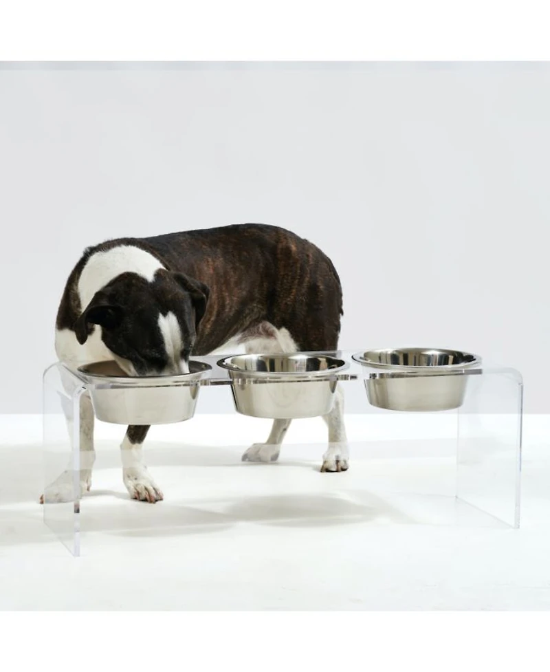 Tall Clear Triple Dog Bowl Feeder with 2 Quart Silver Bowls