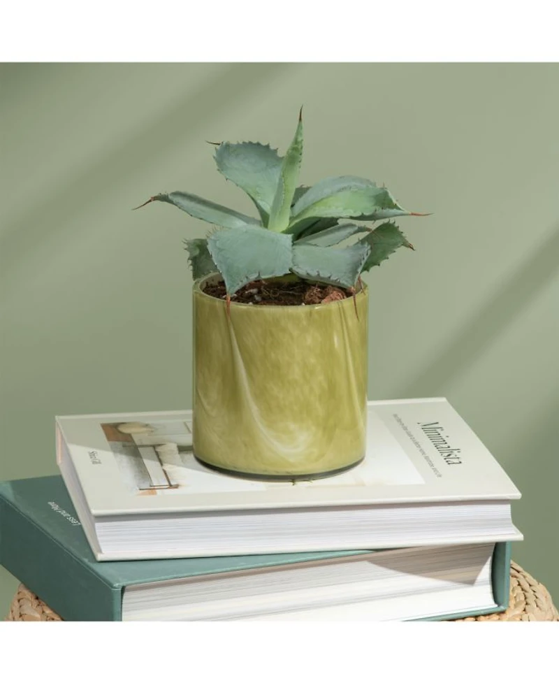Andean Myrtle Signature Candle, 15.5 oz.