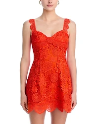 Trina Lace Dress