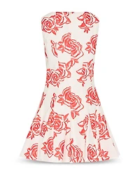 Ariel Rose Embroidered Dress
