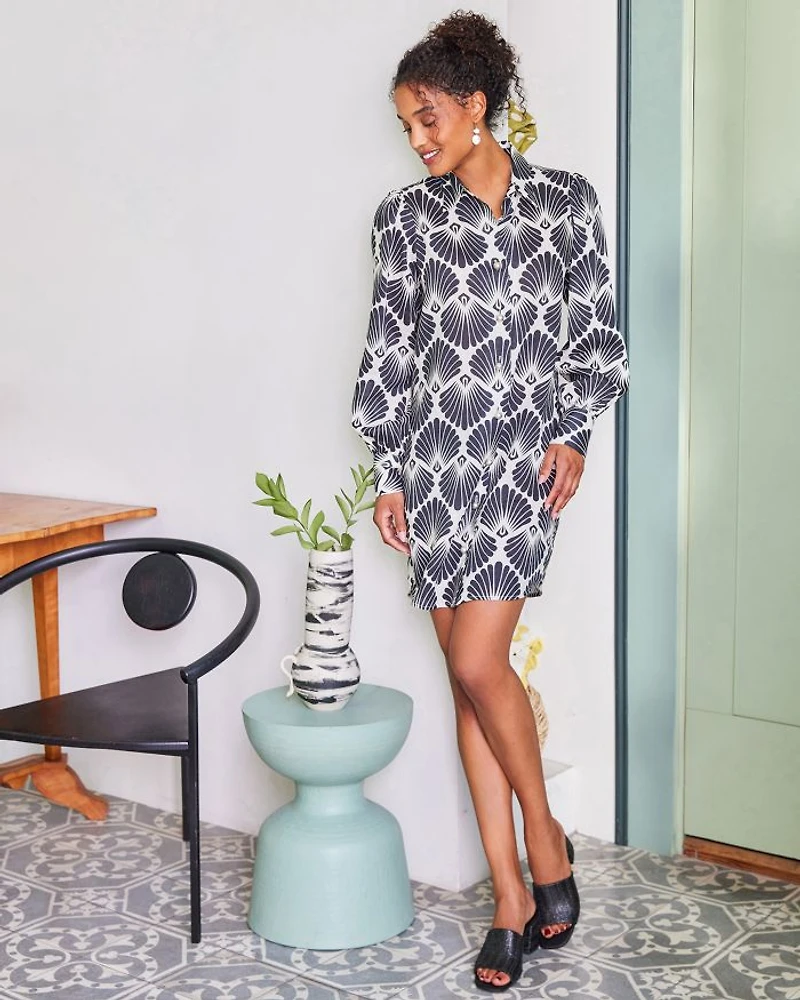 Linen Blouson Sleeve Shirt Dress