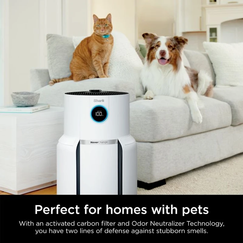 Air Purifier Max