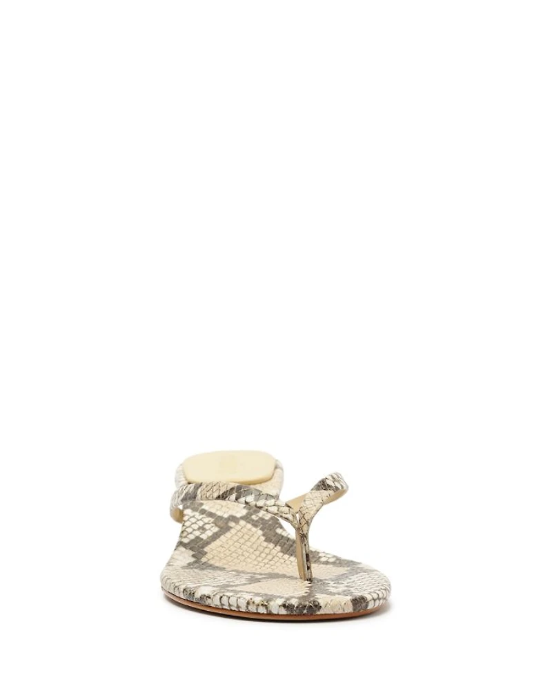 Women's Carolyn Thong Sandals