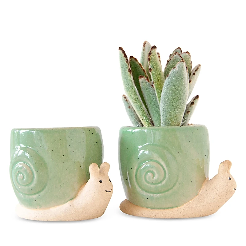 Jungle Club Snail Planter Bundle