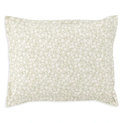 Annie Selke Aria Floral Sage Standard Sham