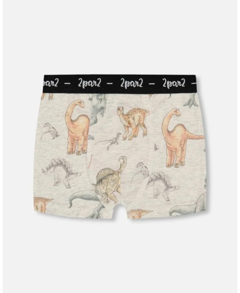 Boys' Printed Organic Cotton Boxer Shorts, Set of 3 - Little Kid