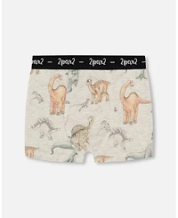 Boys' Printed Organic Cotton Boxer Shorts, Set of 3 - Little Kid