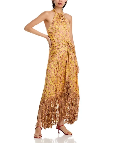 Charming Paisley Teresa Dress