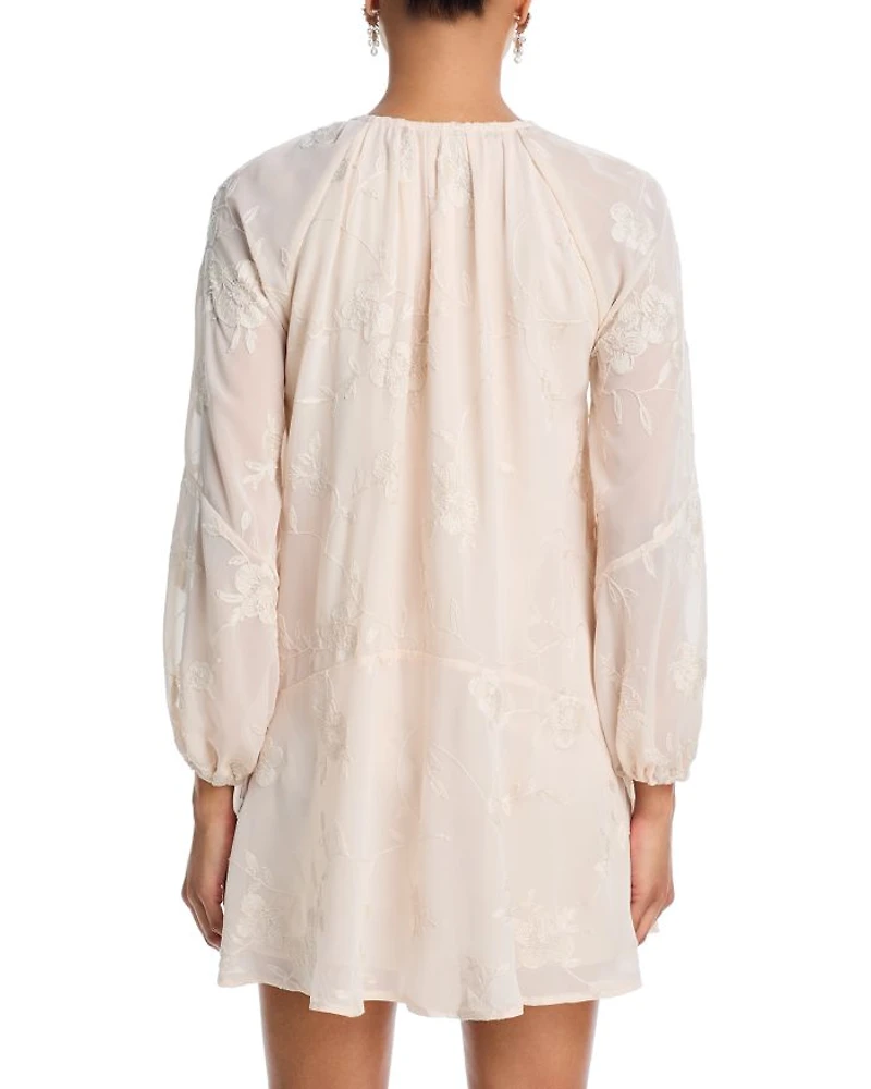 Embroidered Floral Chiffon Mini Dress - Exclusive